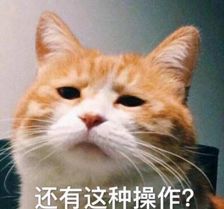 猫挑食越来越瘦怎么办