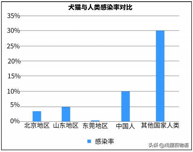 孕期养宠有多危险专业数据揭开真相