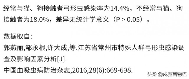 孕期养宠有多危险专业数据揭开真相